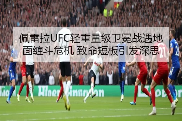 佩雷拉UFC轻重量级卫冕战遇地面缠斗危机 致命短板引发深思